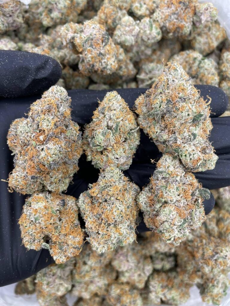 Durban-poison-strain